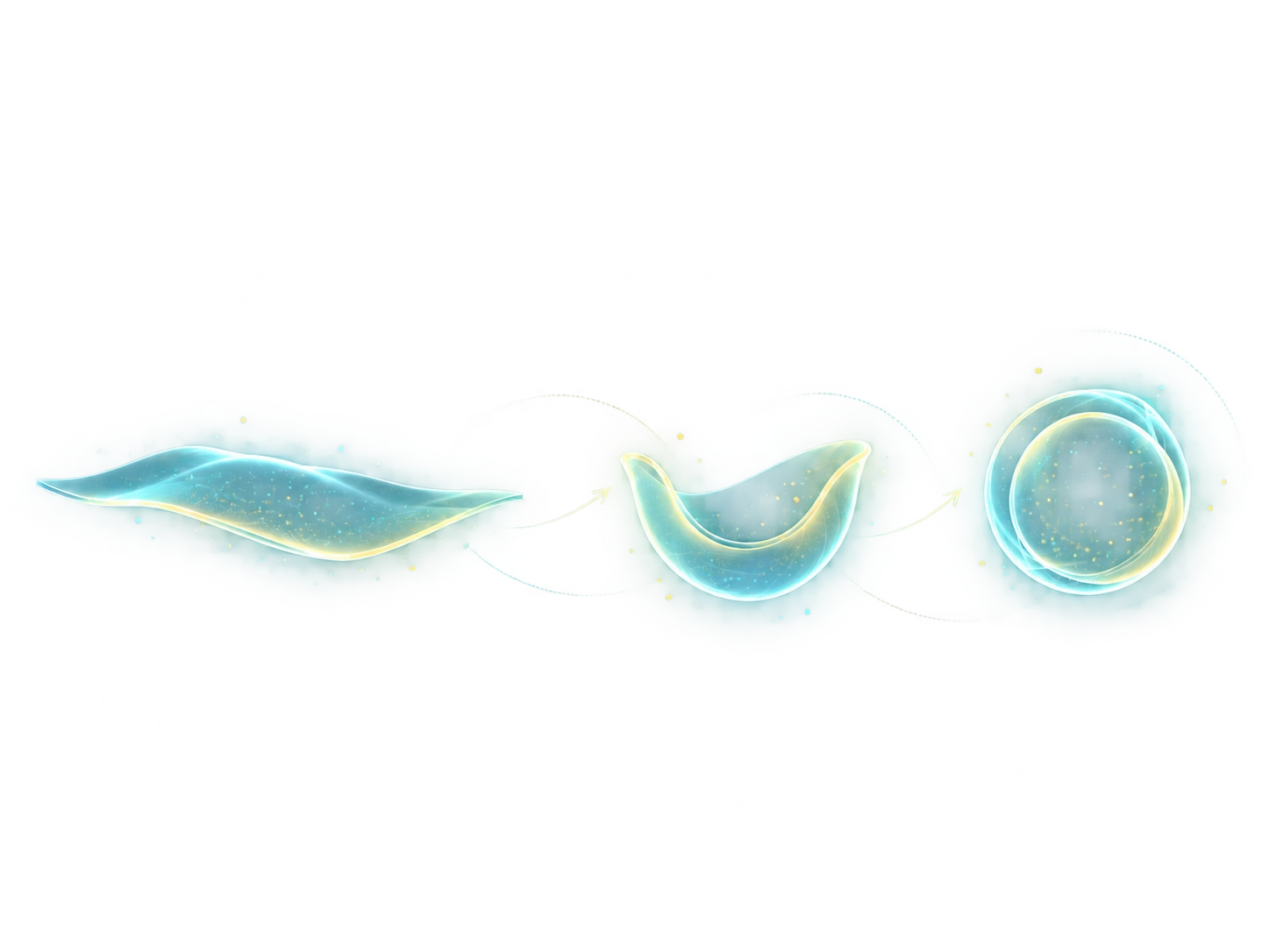 Concept illustration of membrane morphogenesis